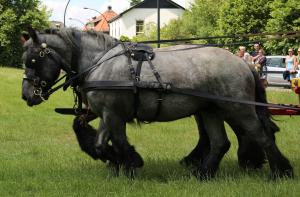 Twenterit Koets&rsquo;n Keerls Delden