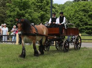 Twenterit Koets&rsquo;n Keerls Delden