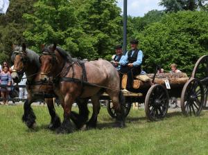 Twenterit Koets&rsquo;n Keerls Delden