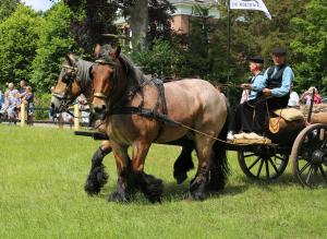 Twenterit Koets&rsquo;n Keerls Delden