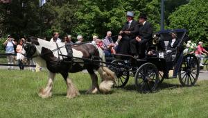Twenterit Koets&rsquo;n Keerls Delden