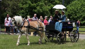 Twenterit Koets&rsquo;n Keerls Delden