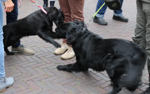 Hemelvaartsdag Delden 2019
