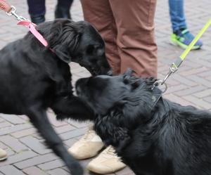 Hemelvaartsdag Delden 2019