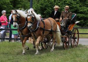 Twenterit Koets&rsquo;n Keerls Delden