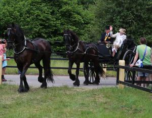 Twenterit Koets&rsquo;n Keerls Delden