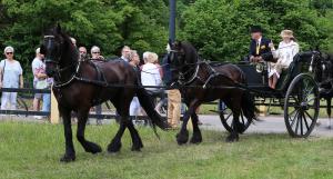Twenterit Koets&rsquo;n Keerls Delden