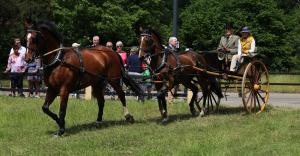 Twenterit Koets&rsquo;n Keerls Delden