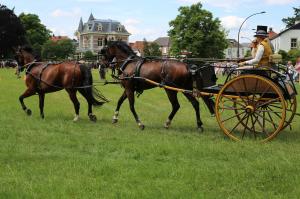 Twenterit Koets&rsquo;n Keerls Delden