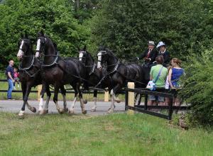 Twenterit Koets&rsquo;n Keerls Delden