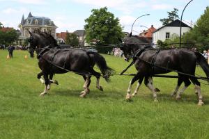 Twenterit Koets&rsquo;n Keerls Delden