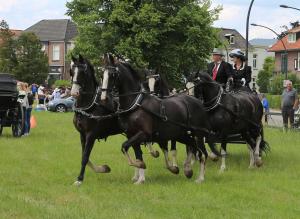Twenterit Koets&rsquo;n Keerls Delden
