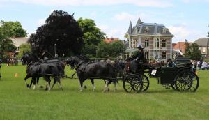Twenterit Koets&rsquo;n Keerls Delden