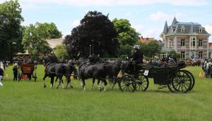 Twenterit Koets&rsquo;n Keerls Delden