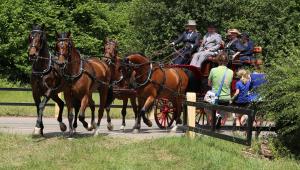 Twenterit Koets&rsquo;n Keerls Delden