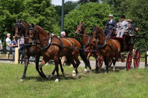 Twenterit Koets&rsquo;n Keerls Delden