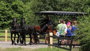 Twenterit Koets&rsquo;n Keerls Delden