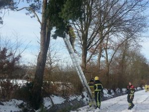 Brandweer verwijdert gevaarlijke takken in buitengebied Delden