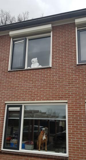 Berenjacht in Delden