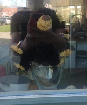 Berenjacht in Delden