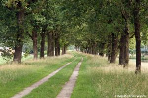 Wandeling van station Goor naar station Delden