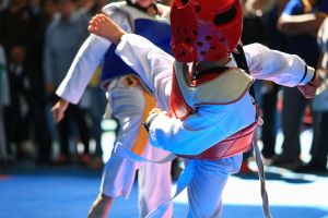 Taekwondo Simon