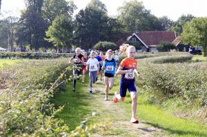 Twickelloop 2018 - 1 km