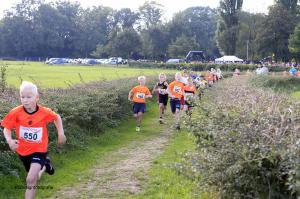 Twickelloop 2018 - 1 km