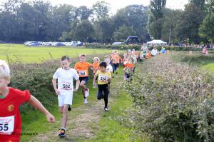 Twickelloop 2018 - 1 km