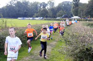 Twickelloop 2018 - 1 km