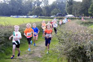 Twickelloop 2018 - 1 km