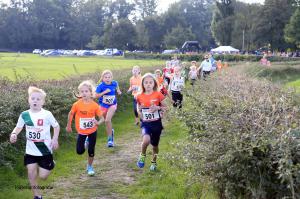 Twickelloop 2018 - 1 km