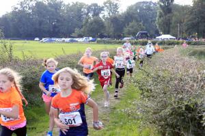 Twickelloop 2018 - 1 km