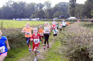 Twickelloop 2018 - 1 km
