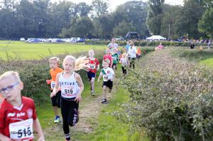 Twickelloop 2018 - 1 km
