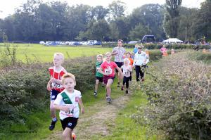 Twickelloop 2018 - 1 km