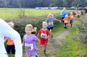 Twickelloop 2018 - 1 km
