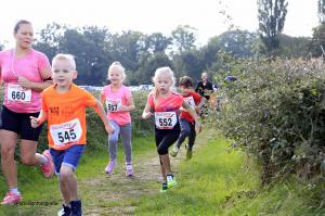 Twickelloop 2018 - 1 km