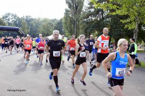 Twickelloop 2018 - 5 km