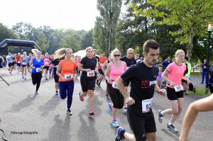 Twickelloop 2018 - 5 km