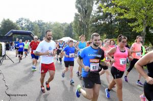 Twickelloop 2018 - 5 km