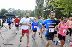 Twickelloop 2018 - 5 km