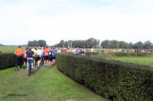 Twickelloop 2018 - 5 km