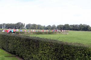 Twickelloop 2018 - 5 km