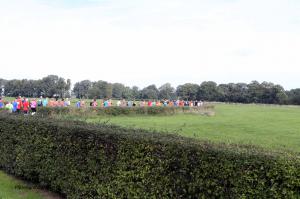 Twickelloop 2018 - 5 km