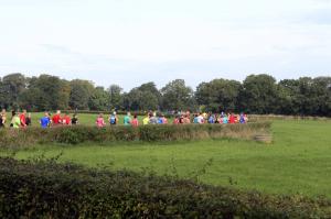 Twickelloop 2018 - 5 km