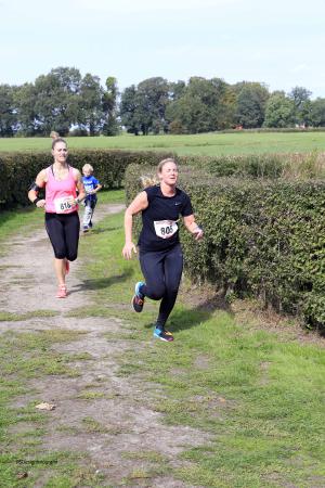 Twickelloop 2018 - 10 km