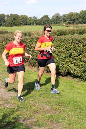 Twickelloop 2018 - 10 km