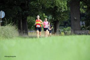 Twickelloop 2018 - 5 km