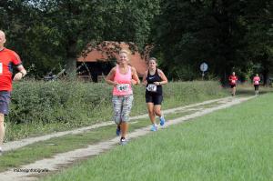 Twickelloop 2018 - 5 km